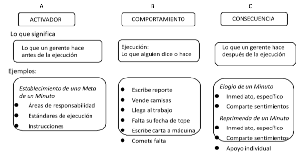 Retroalimentación | Reddin Consultants